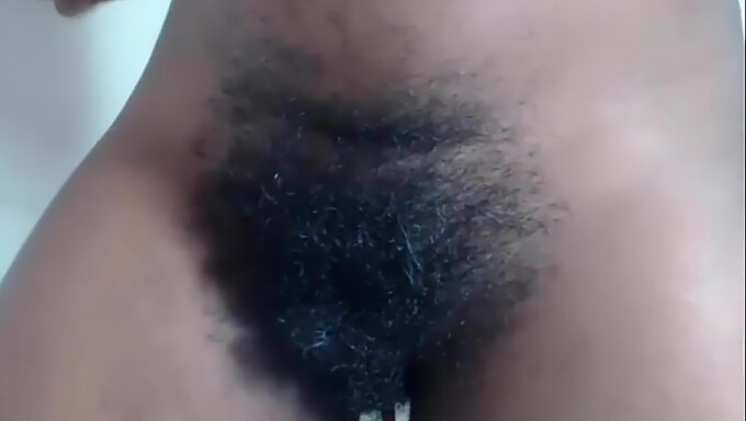 Zažijte Divokou Stránku Černého Ebenového Porna S One Of The Hairy Ex.