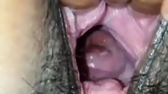 Bhabhi Pus...