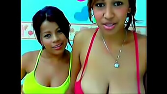 Iso Perseinen Brasilialainen Lesbo Dulce Ja Ana Tuhmautuvat Tastycamz.Comissa