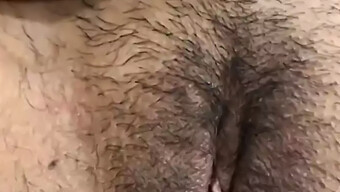 Blowjob Da...